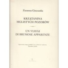 Krzątanina mglistych pozorów. - Un viavai di brumose apparenze Krzątanina mglistych pozorów. - Un viavai di brumose apparenze