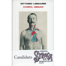Corpo, umano