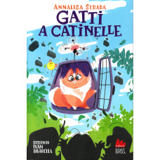 Gatti a catinelle