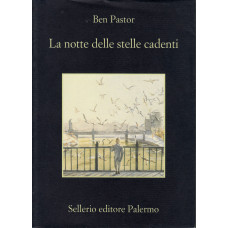 La notte delle stelle cadenti