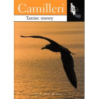 Taniec mewy