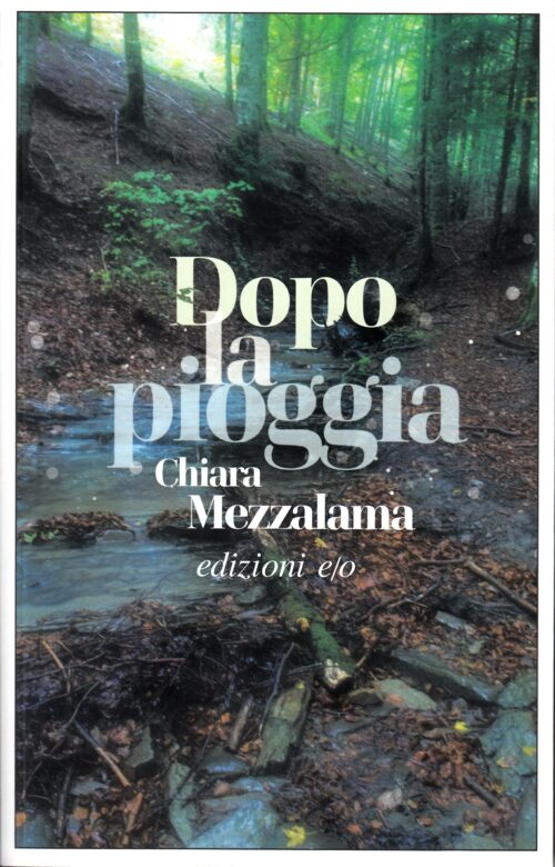 Dopo la pioggia