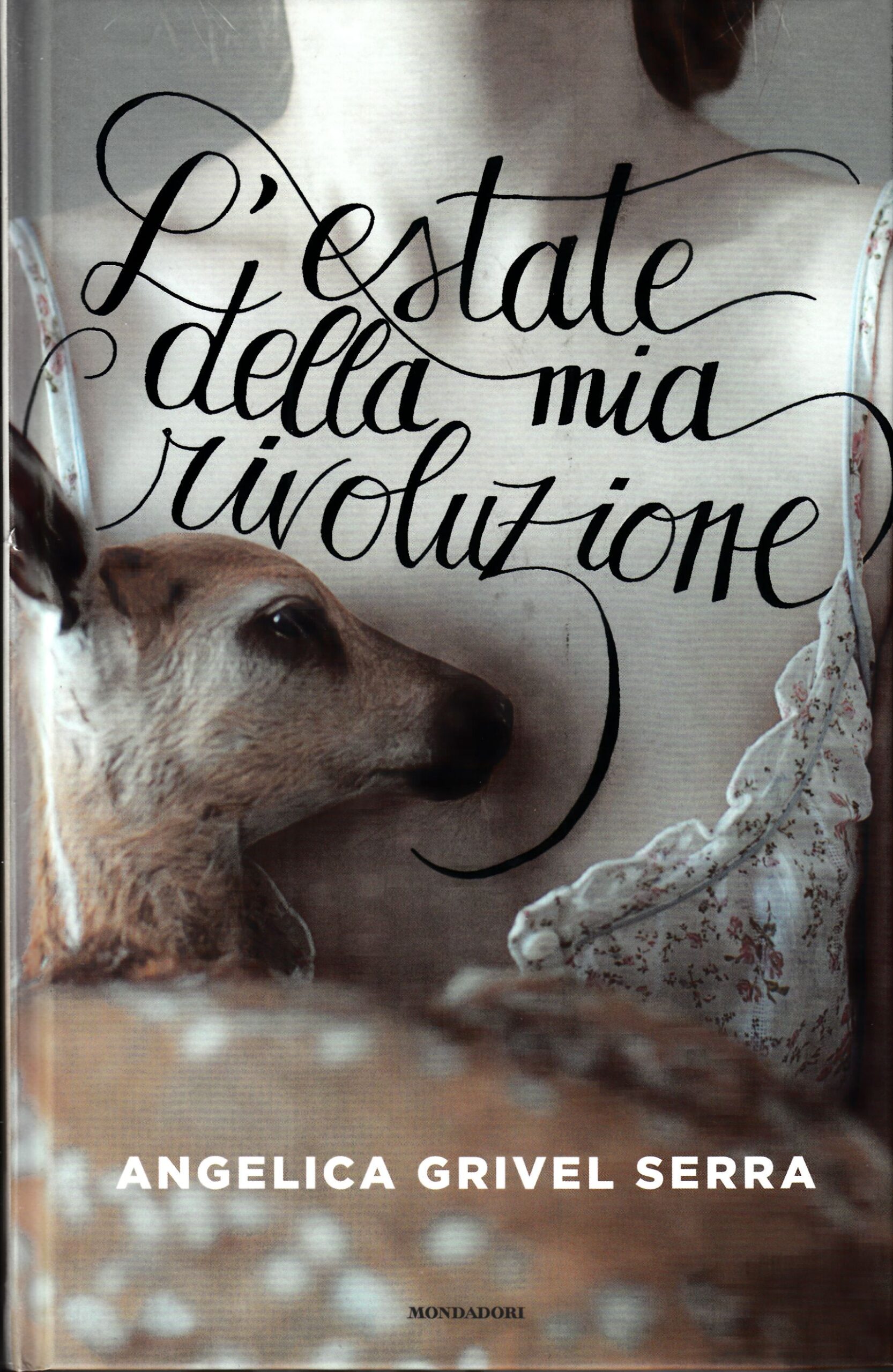 L'estate della mia rivoluzione