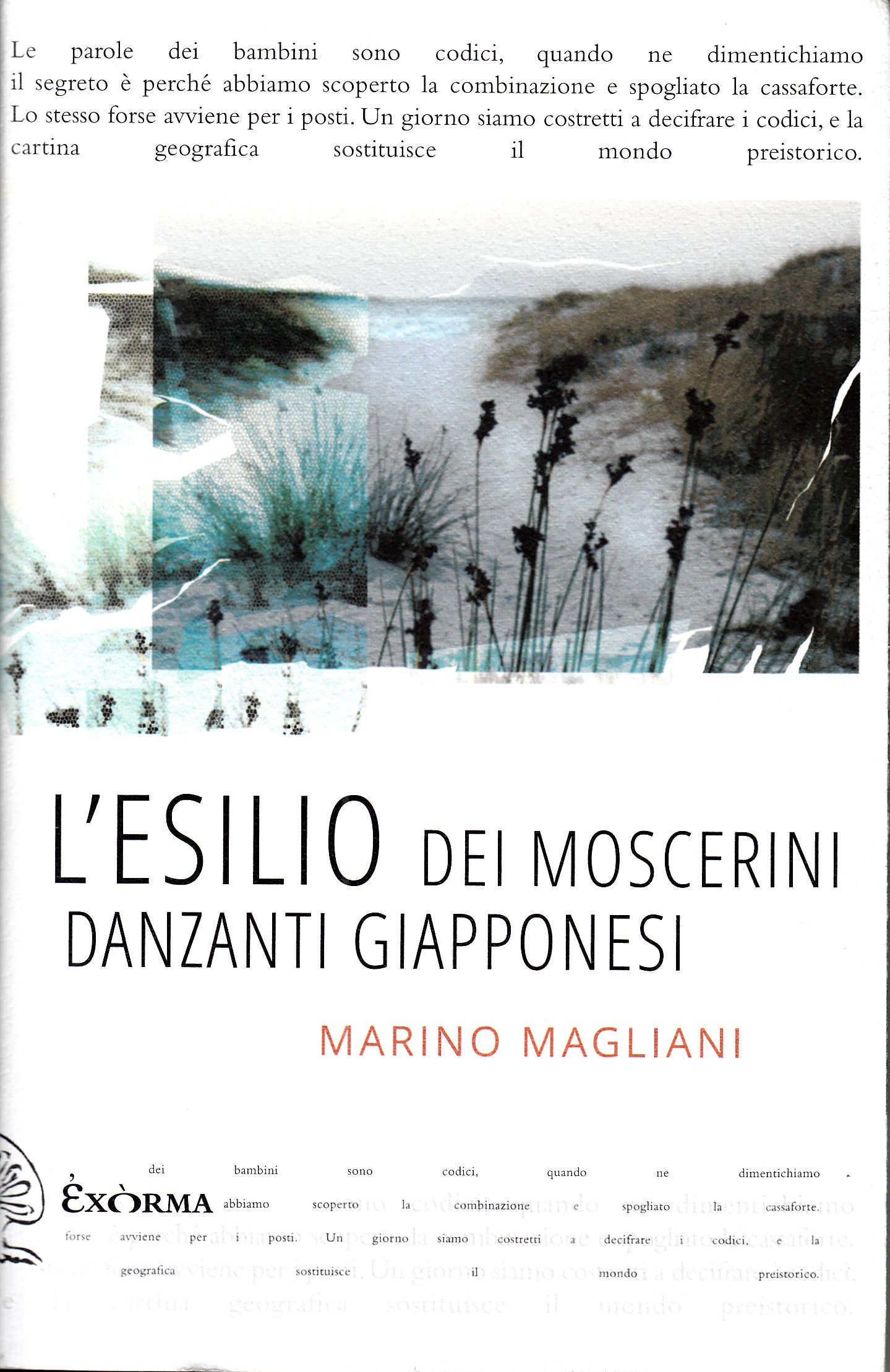 L'esilio dei moscerini danzanti giapponesi