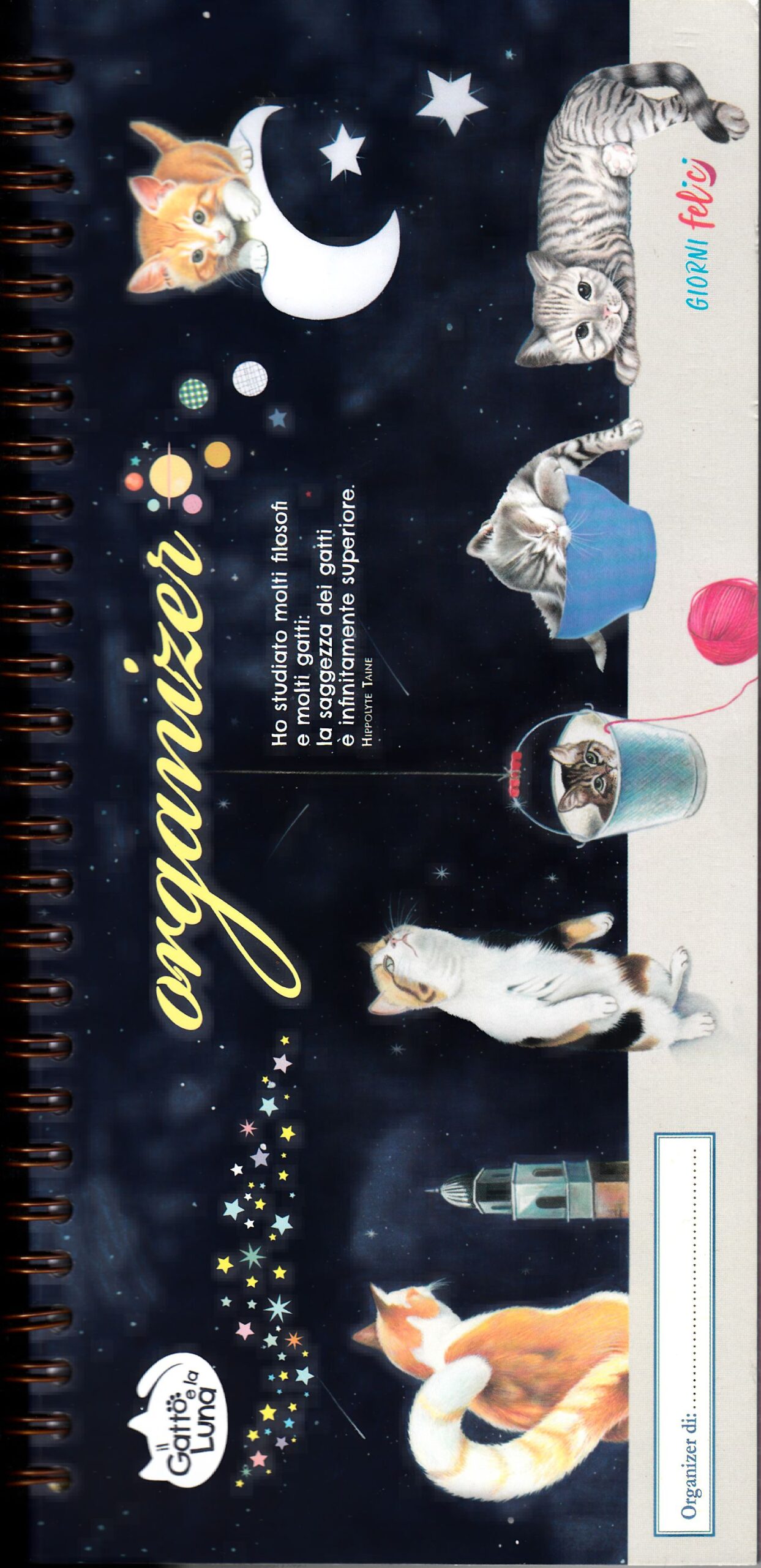 Calendario Il gatto e la luna