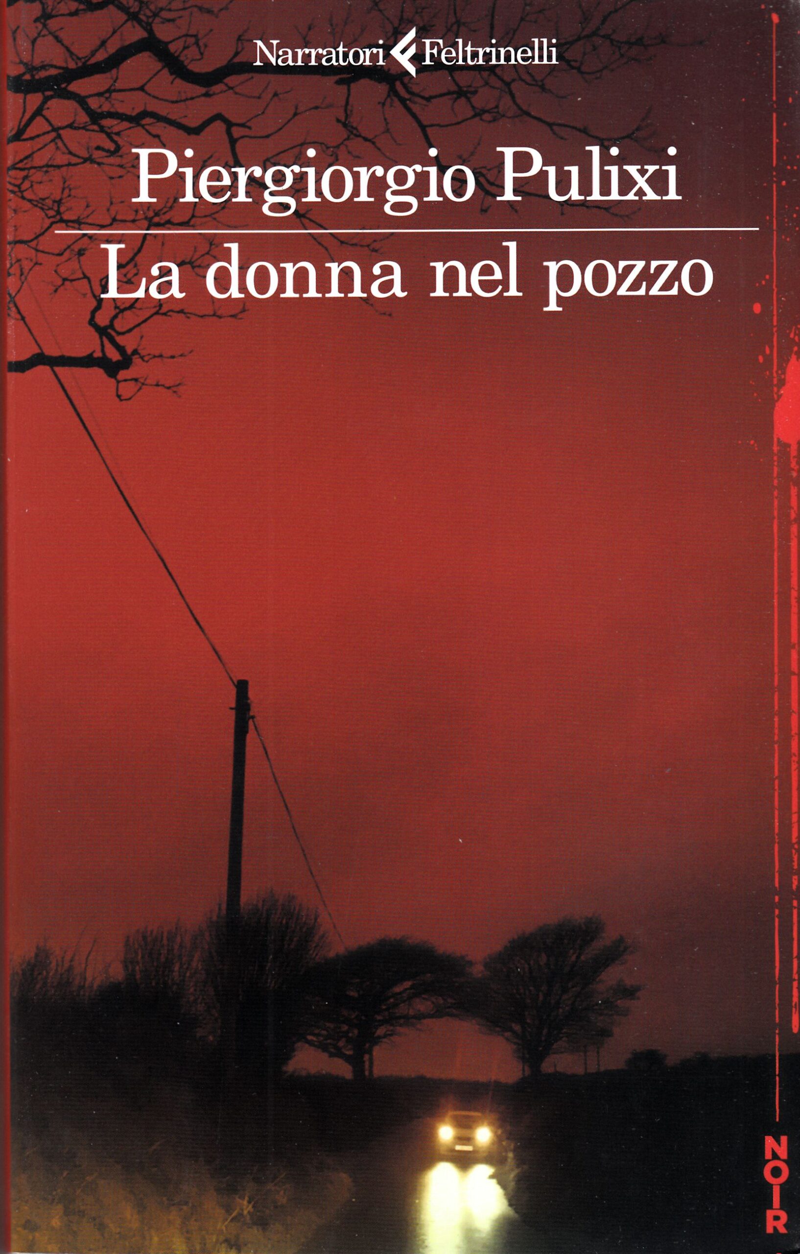 La donna nel pozzo La donna nel pozzo