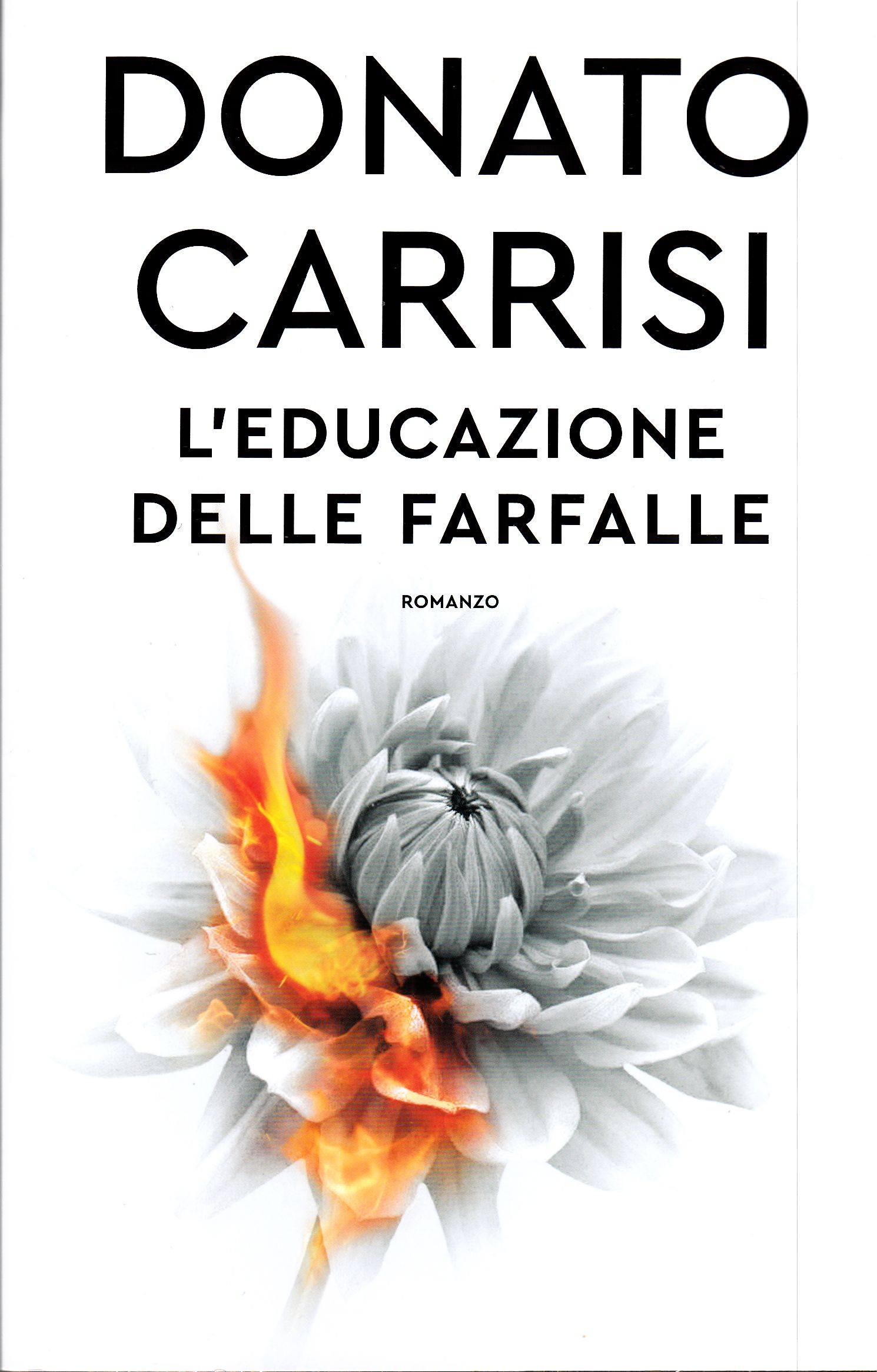 L’educazione delle farfalle