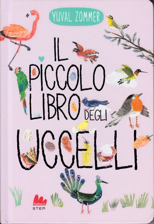 Il piccolo libro degli uccelli